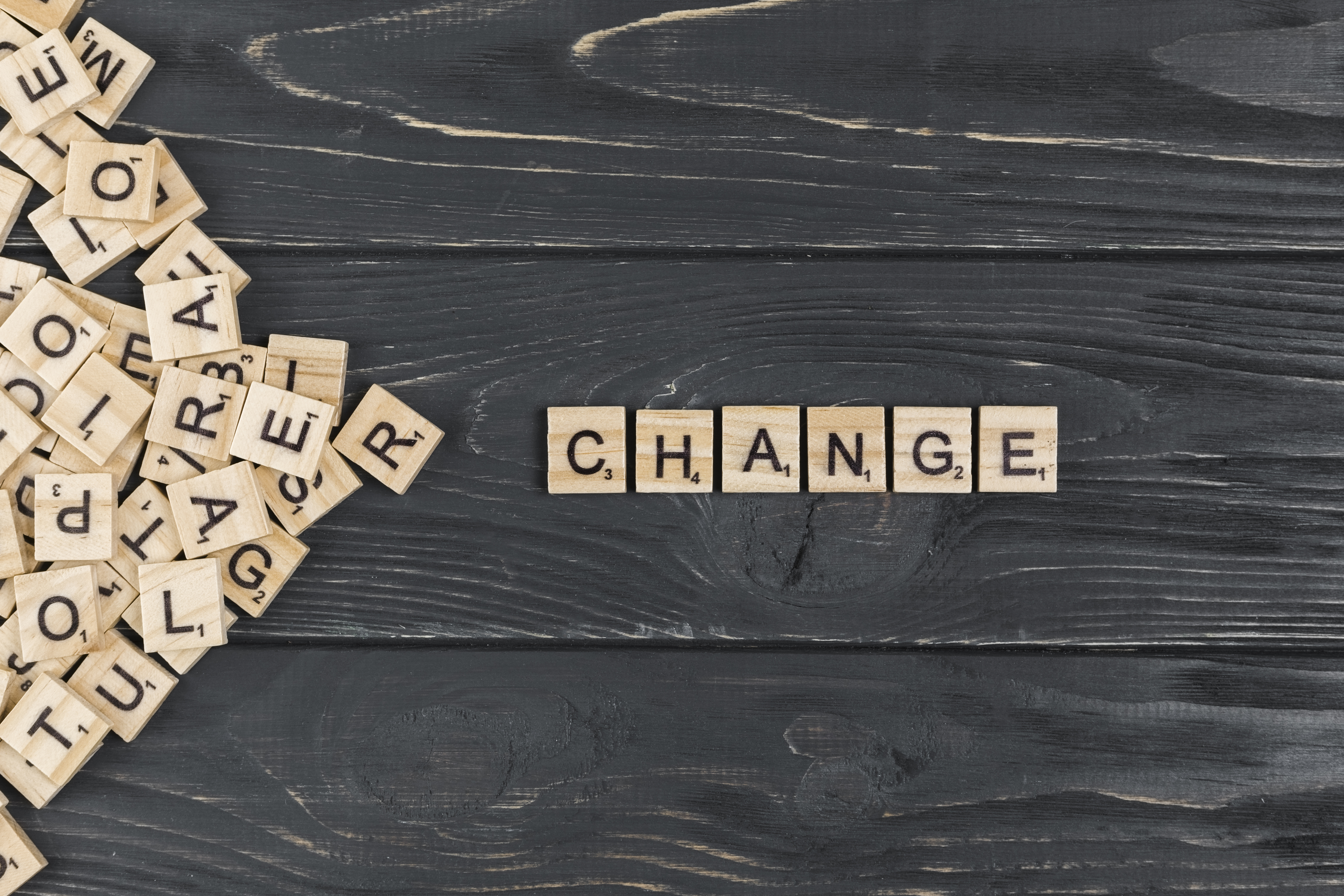 Change Management & Adoption